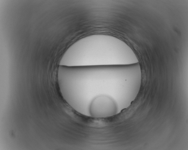 X0000114610475200910200944