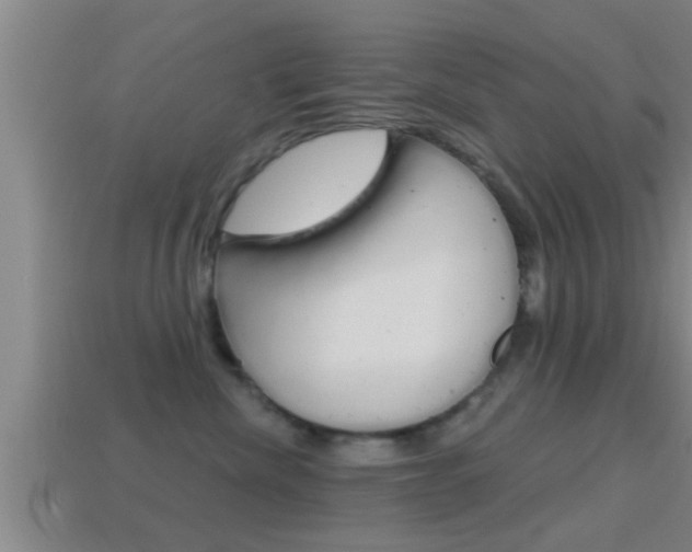 X0000114610476200910200944