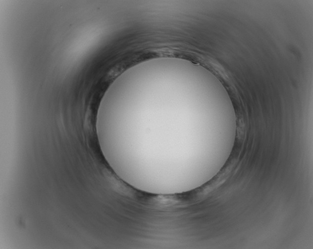 X0000114610477200910200944