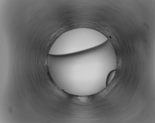 X0000114610478200910200944