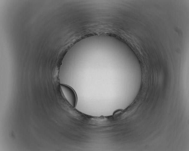 X0000114610480200910200944