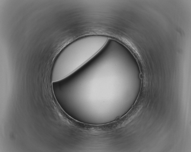 X0000114610481200910200944