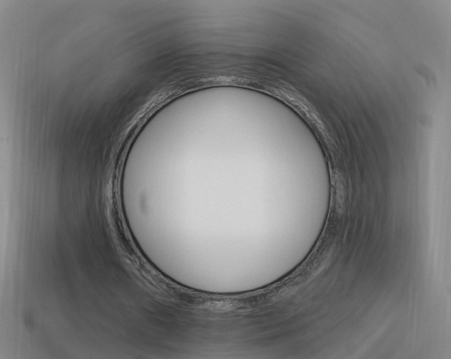 X0000114610482200910200944