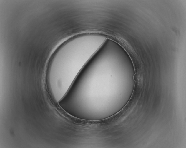 X0000114610484200910200944