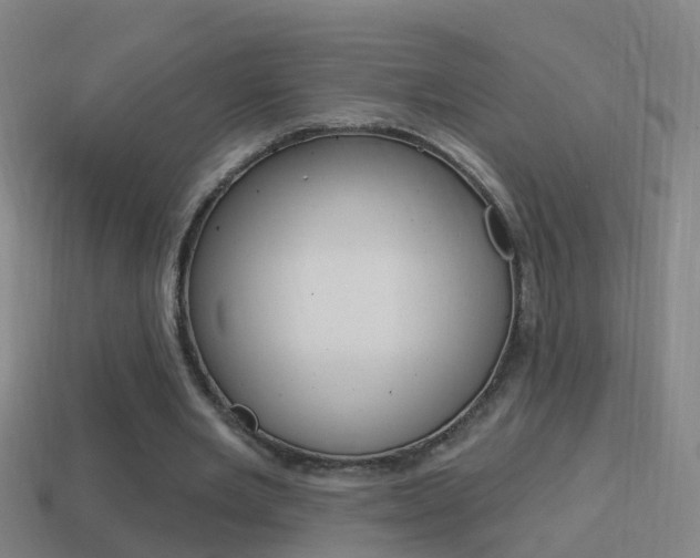 X0000114610485200910200944
