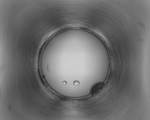 X0000114610486200910200944