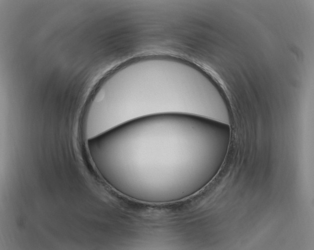X0000114610487200910200944