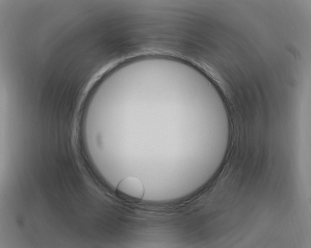 X0000114610488200910200944