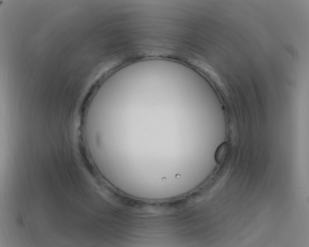 X0000114610490200910200944