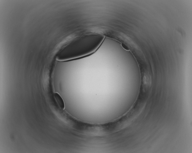 X0000114610492200910200944