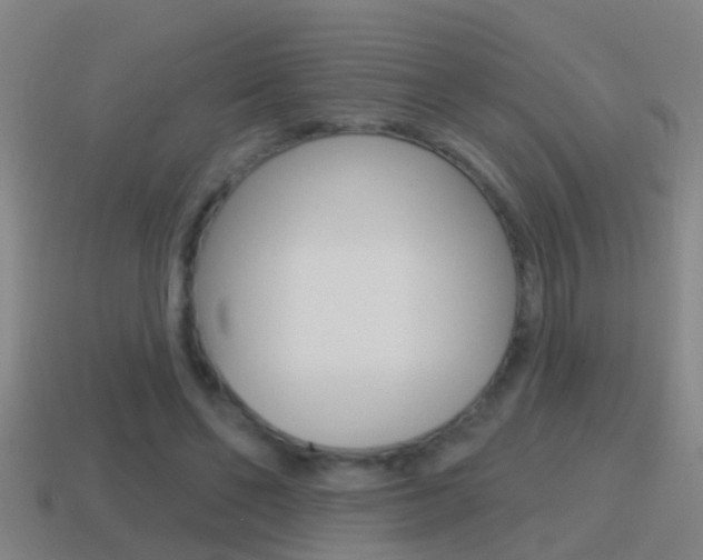 X0000114610494200910200944