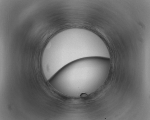 X0000114610495200910200944