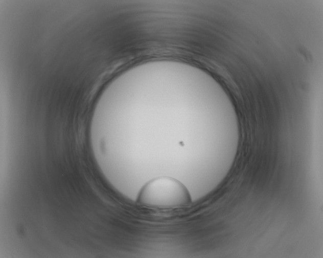 X0000114610496200910200944