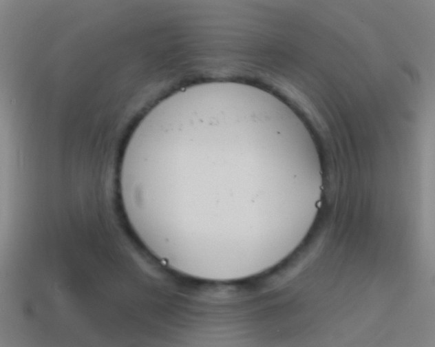 X0000114610497200910200944