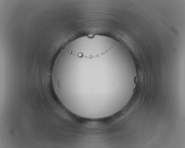X0000114610499200910200943