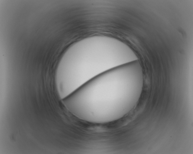 X0000114610503200910200943