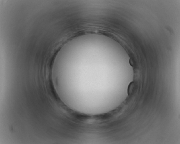 X0000114610504200910200943