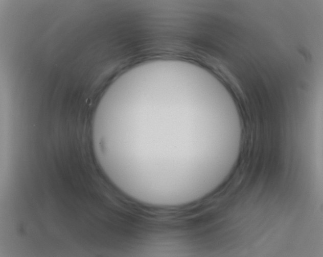 X0000114610505200910200943