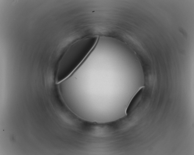 X0000114610508200910200943