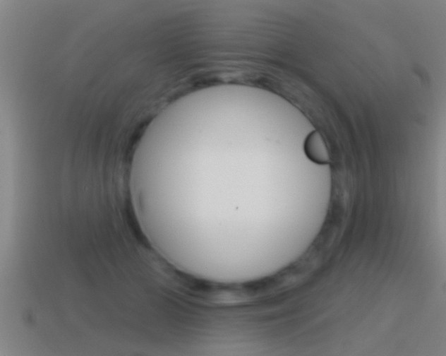 X0000114610510200910200943