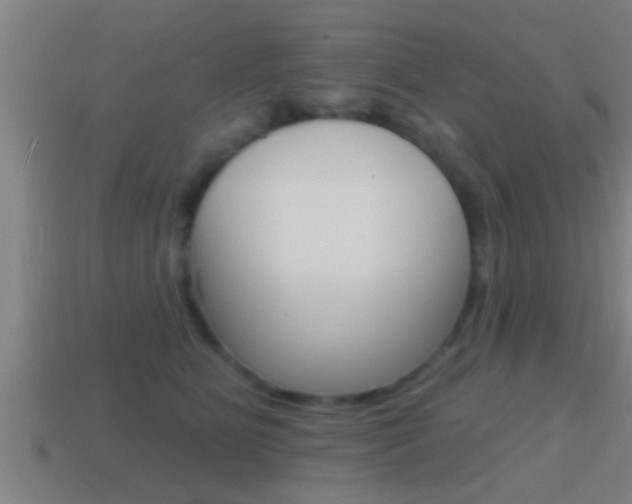 X0000114610515200910200943