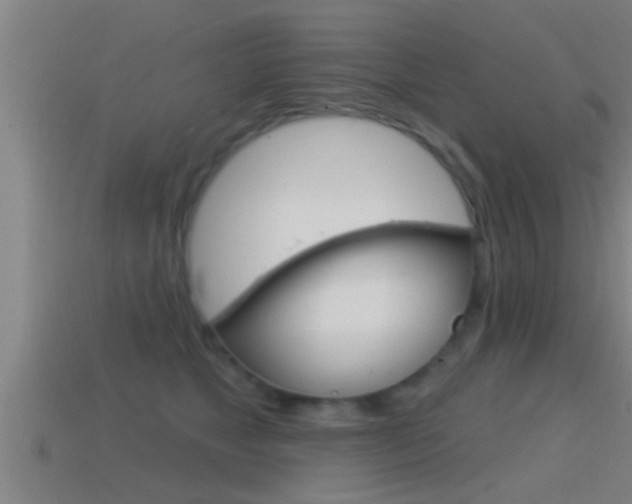 X0000114610517200910200943