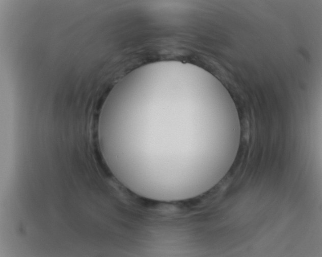 X0000114610519200910200943