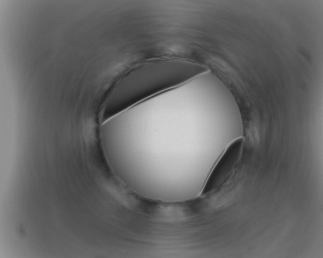 X0000114610520200910200943