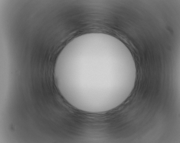 X0000114610521200910200943