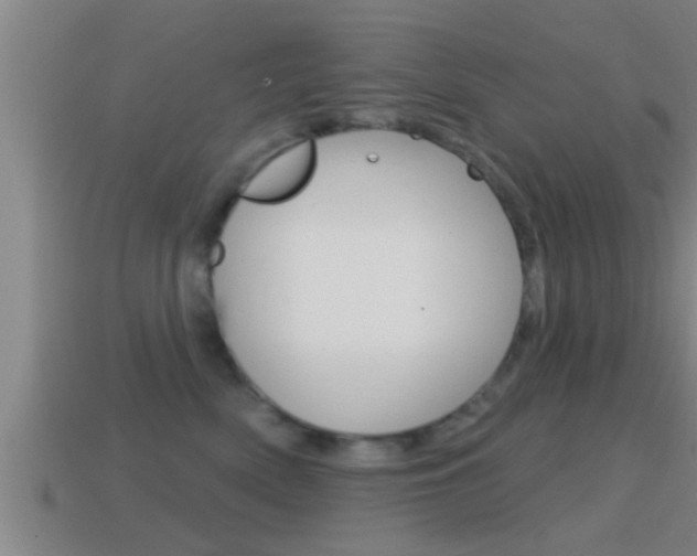 X0000114610522200910200943
