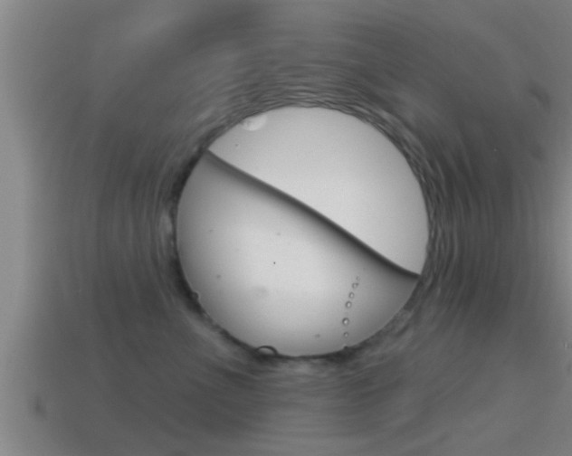 X0000114610523200910200943