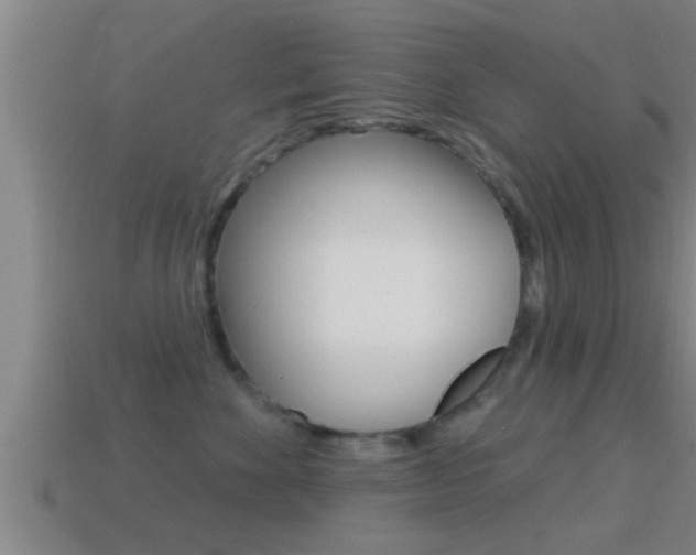 X0000114610524200910200943