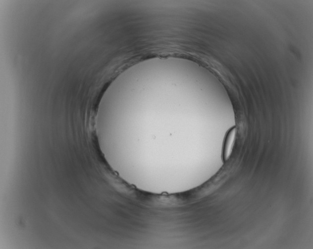 X0000114610525200910200943