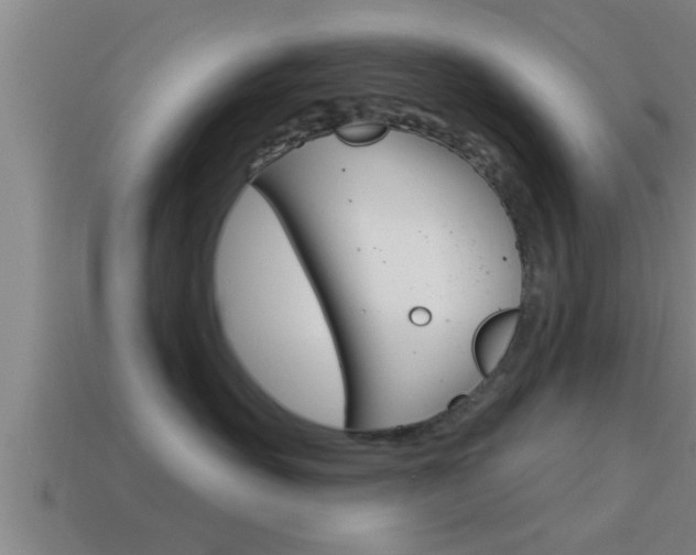 X0000114610527200910200943