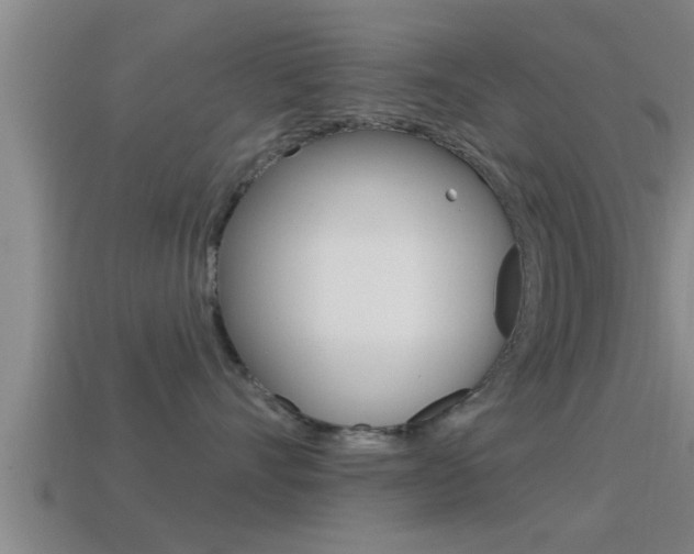 X0000114610528200910200943