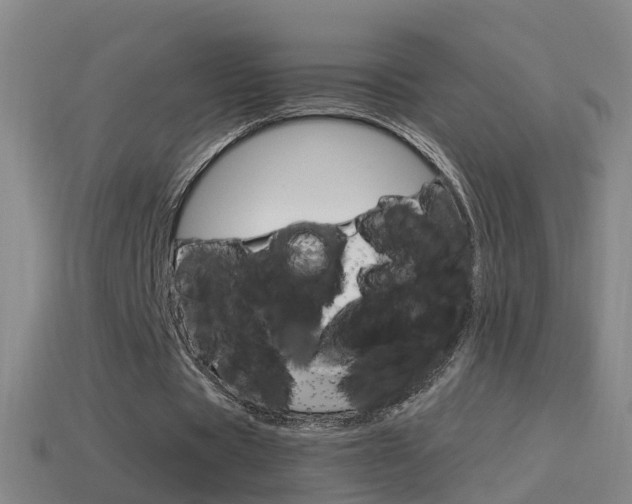 X0000114610529200910200942