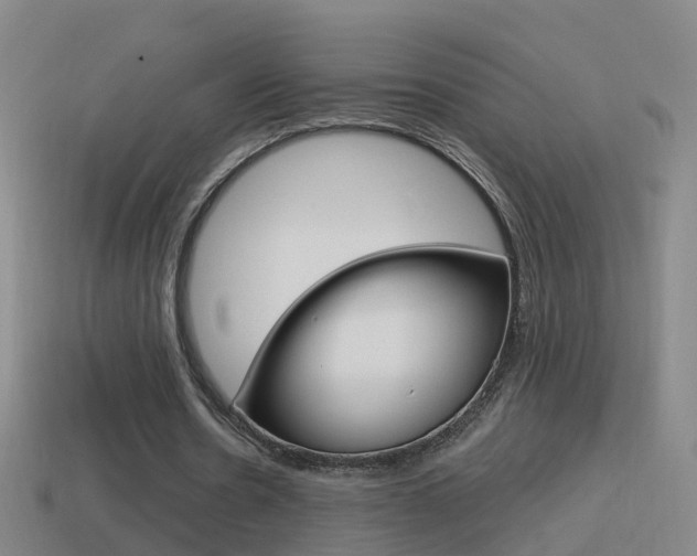 X0000114610530200910200942