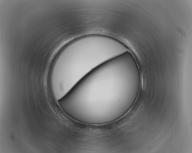 X0000114610531200910200942