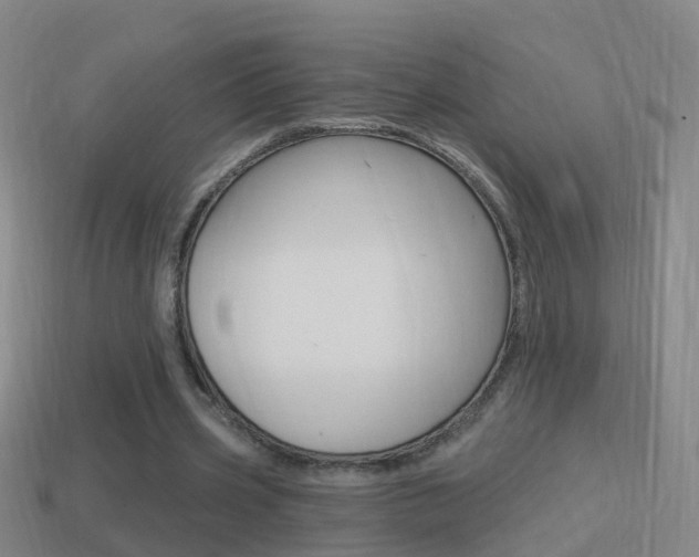 X0000114610533200910200942
