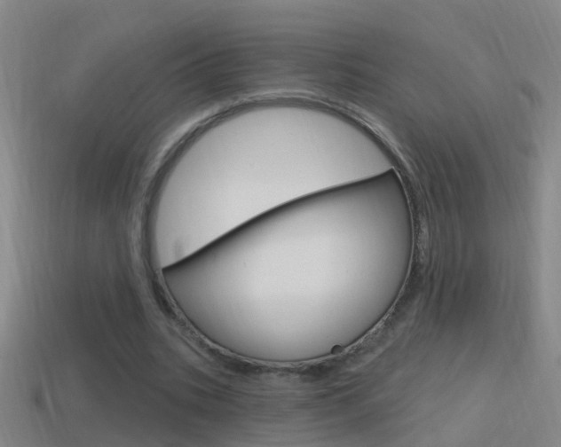 X0000114610535200910200942