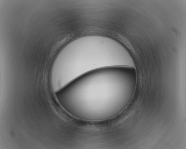 X0000114610538200910200942