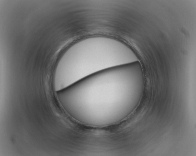 X0000114610539200910200942