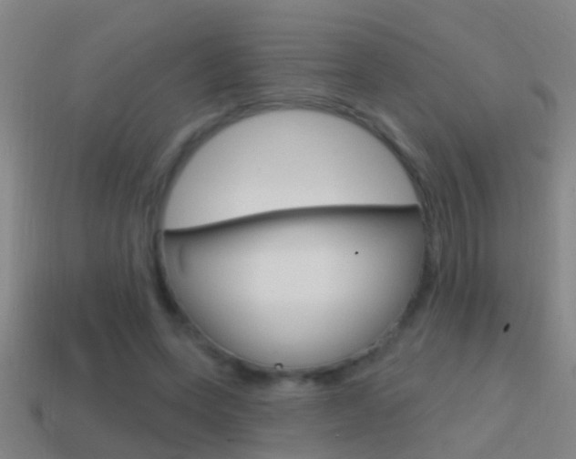 X0000114610543200910200942