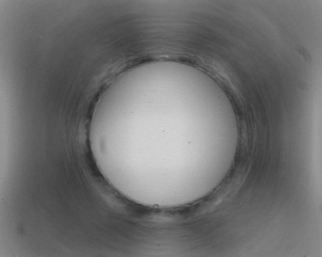 X0000114610545200910200943