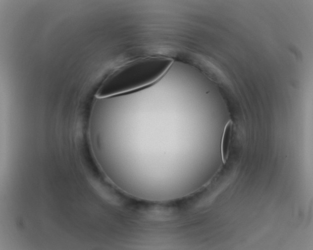 X0000114610546200910200943