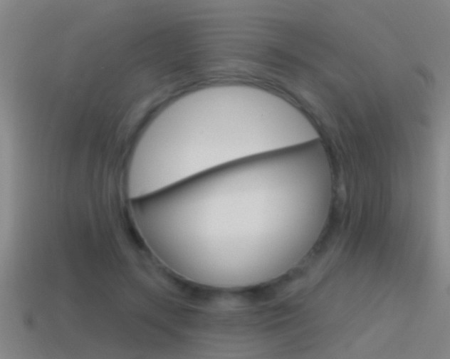 X0000114610547200910200943