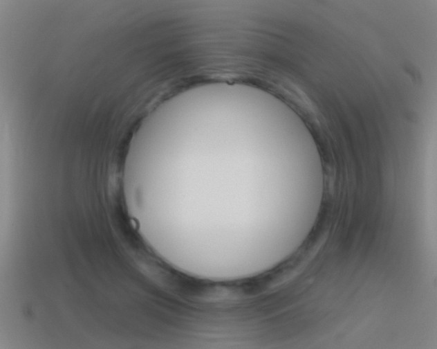 X0000114610549200910200943
