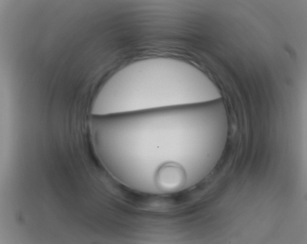 X0000114610555200910200943