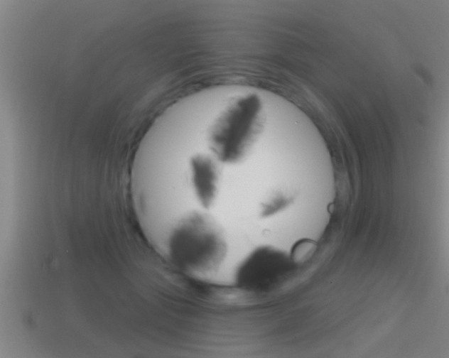 X0000114610557200910200943