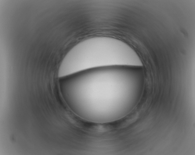 X0000114610558200910200943